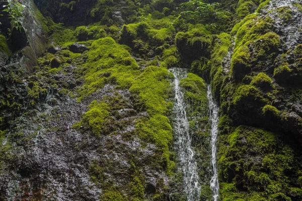 Тропическая Вода Падает Центральную Яву Семаранга Зеленым Листом Мхом Фотография — стоковое фото