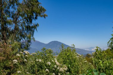 Sabah vakti güneş ışığı yaz titreşimleri aldığında manzara dağları. Fotoğraf macera içeriği medyası, doğa posteri ve orman geçmişi için kullanılabilir.