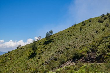 Sabah vakti güneş ışığı yaz titreşimleri aldığında manzara dağları. Fotoğraf macera içeriği medyası, doğa posteri ve orman geçmişi için kullanılabilir.