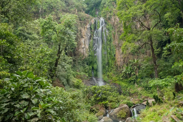 Yeşil yapraklı ve yosunlu Semarang Central Java 'ya tropik su dökülüyor. Fotoğraf macera içeriği medyası, doğa posteri ve orman geçmişi için kullanılabilir.