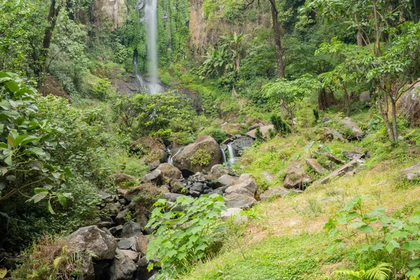Тропічна Вода Падає Центральну Яву Семаранг Зеленим Листям Мохом Фотографія — стокове фото