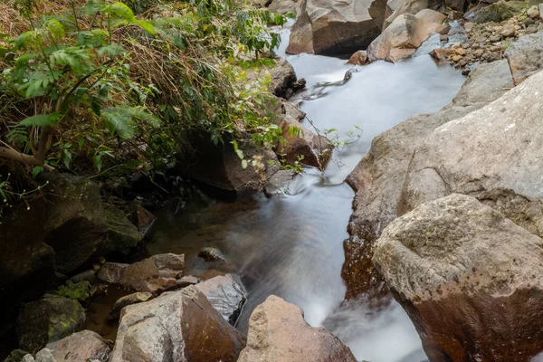 Tropická Řeka Teče Semarang Central Java Zeleným Listem Říčním Kamenem — Stock fotografie