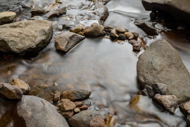 Fotoğraf macera içeriği medyası, doğa posteri ve orman geçmişi için kullanılabilir.