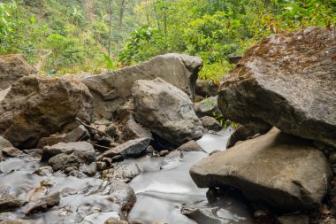 Fotoğraf macera içeriği medyası, doğa posteri ve orman geçmişi için kullanılabilir.