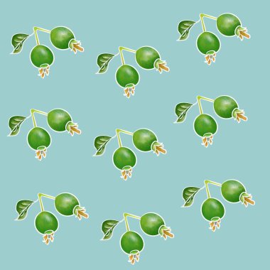 Yeşil guava meyve illüstrasyon geçmişi. Gerçekçi çizimli el çizimi. İllüstrasyon doğa arkaplanı ve duvar kağıdı kullanmak için uygundur.