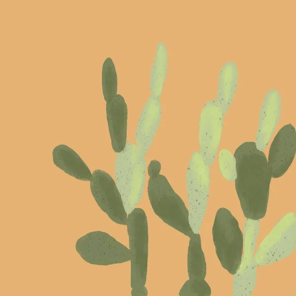 Green cactus illustration with orange background. The Illustration is suitable to use nature background and wallpaper.