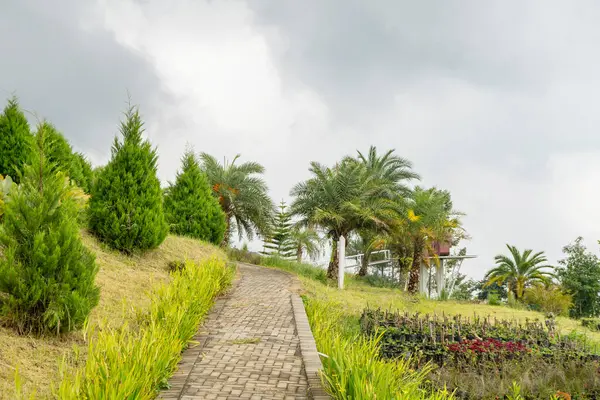 Paisagem Jardim Montanha Bandungan Semarang Central Java Foto Adequada Para — Fotografia de Stock