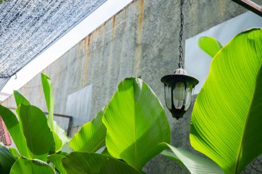 El raylı kafe restoranında asılı ampul. Fotoğraf dekoratif arkaplan ve cafe içeriği ortamı için kullanılabilir.