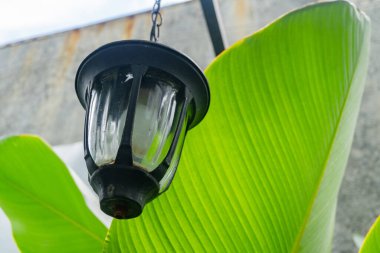 El raylı kafe restoranında asılı ampul. Fotoğraf dekoratif arkaplan ve cafe içeriği ortamı için kullanılabilir.