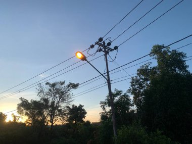 Batan güneşin arka planında parlayan bir sokak lambası etrafındaki ağaçlara ve elektrik hatlarına uzun gölgeler bırakıyor..