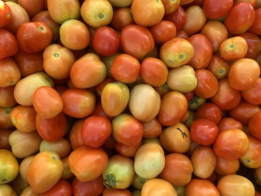 Taze, olgun vişneli domateslerin çeşitli ılık renklerde canlı ve renkli bir görüntüsü..