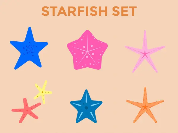 Canlı ve Renkli Denizyıldızı Koleksiyonu: Sahil Denizinin Eğlenceli Sualtı Keşfi