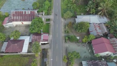 Tropikal Palmiye ağaçlarının manzarası Manzaradaki Yerleşim Yolunun yanında