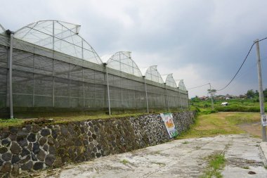 Arka bahçede büyük bir sera, güneşli bir gün, arka planda bulutlu bir gökyüzü.