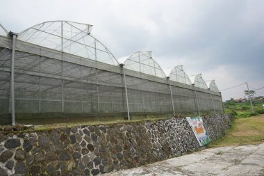 Arka bahçede büyük bir sera, güneşli bir gün, arka planda bulutlu bir gökyüzü.