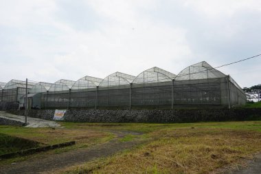 Arka bahçede büyük bir sera, güneşli bir gün, arka planda bulutlu bir gökyüzü.