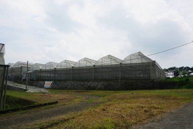 Arka bahçede büyük bir sera, güneşli bir gün, arka planda bulutlu bir gökyüzü.