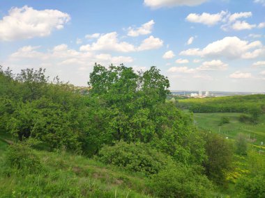 beautiful view from the top of the river in the city park