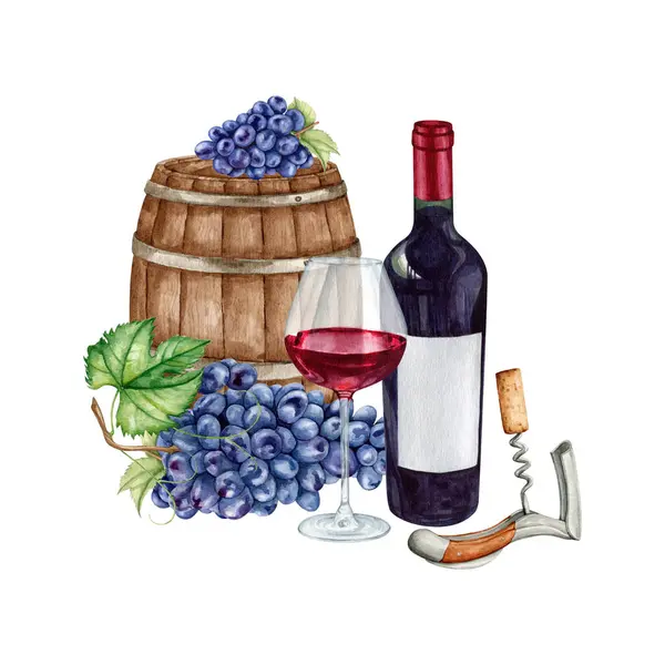 Watercolor barolo wine gourmet set Illustration. High quality hand painting wineglasses with red wine illustration. Wine story clipart collection.