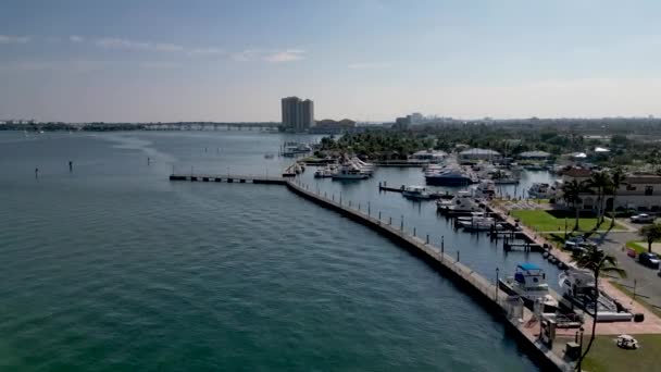 Aerial Drone Footage Offers Stunning View Florida Pier Coastal Beach — Wideo stockowe