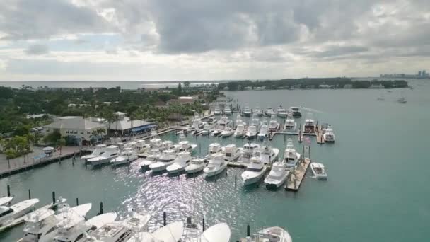 Aerial Drone Footage True Visual Masterpiece Showcasing Collection Moored Yachts — Stockvideo