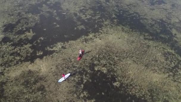 1080P Drone Footage Paddle Boarders Captures Beauty Excitement Popular Water — Video