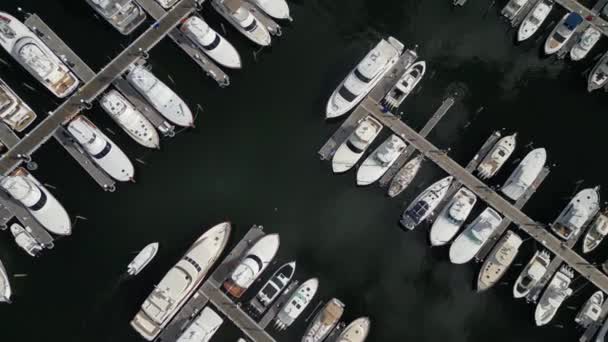 Aerial Video Offers Unique Straight View Boats Floating Water Footage — Stock Video