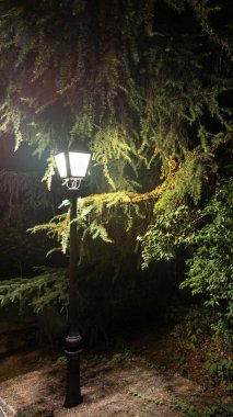Night scene of a corner of the park illuminated by a lamppost. Vertical image.