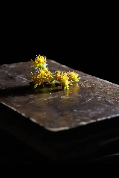 Old books with some mauve flowers. Vertical photography. Copyspace. Selective focus.