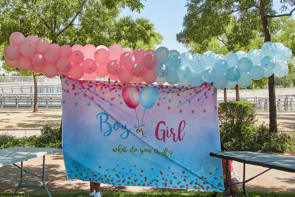 Decoration with balloons and banner to celebrate a recent pregnancy. Bay shower. Gender reveal. Horizontal photography.