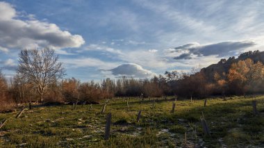Dramatik bir gökyüzünün altında fidanlarla dolu bir tarlanın üzerinde gün batımı