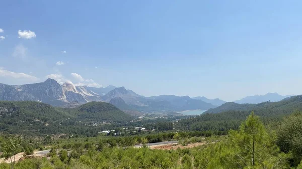 green forest in the mountains and plains
