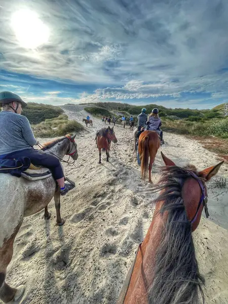 Oregon sahilinde Horsin Around
