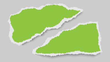 Set Of Minimal Paper Ripped Design Template