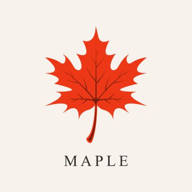 Akçaağaç yaprağı çizgisi sanat logosu tasarım vektörü.