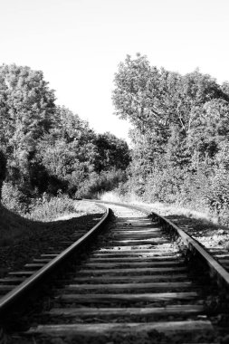 Railway tracks in nature.