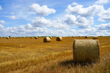 Fields near Bad Wnnenberg. Landscape with a wide view and round bales of straw after the harvest. Nature in autumn.