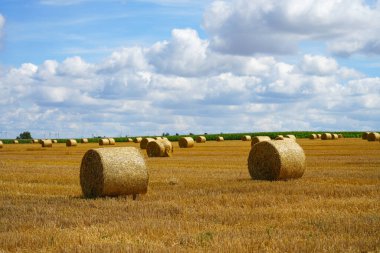 Fields near Bad Wnnenberg. Landscape with a wide view and round bales of straw after the harvest. Nature in autumn.