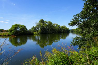 Nature at the Fulda. landscape by the river.