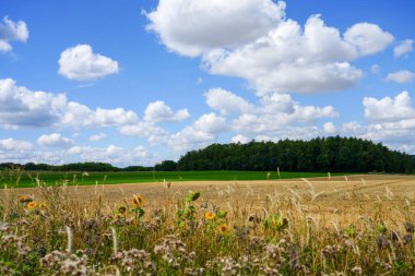 Landscape near Marsberg. Nature with agricultural fields.