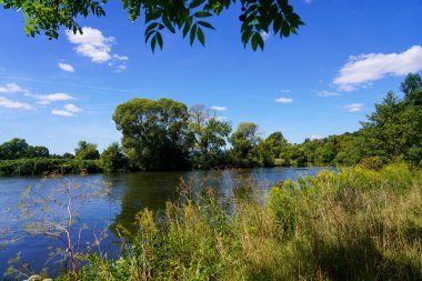 Nature at the Fulda. Landscape by the river.