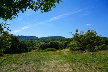 Landscape at the Dnche nature reserve near Kassel. Nature with hills and meadows.
