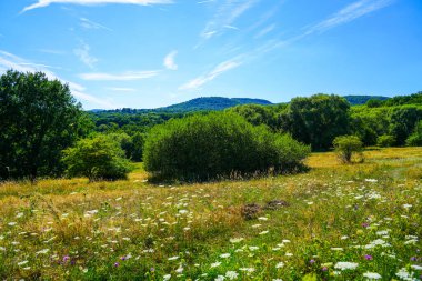 Landscape at the Dnche nature reserve near Kassel. Nature with hills and meadows.