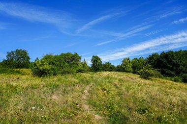 Landscape at the Dnche nature reserve near Kassel. Nature with hills and meadows.