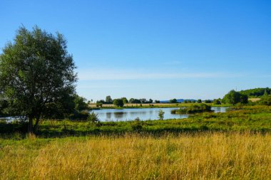 Glockenborn nature reserve in the Brndersen district near Wolfhagen. Landscape with wet meadows and small ponds.