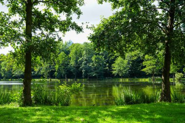 Paddelteich in Bad Wuenneberg. Idyllic landscape at the lake with green nature.