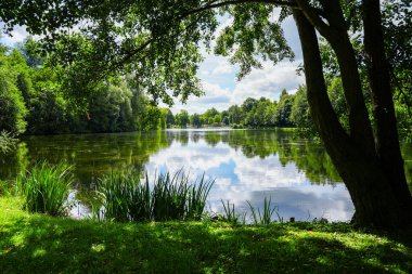 Paddelteich in Bad Wuenneberg. Idyllic landscape at the lake with green nature.