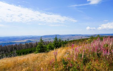 View of the surrounding landscape from the Wurmberg in the Harz mountains.