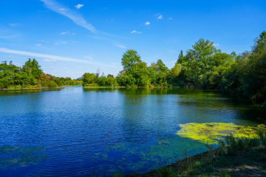 Landscape at the Koldinger Seen in the southern Leineaue. Nature reserve near Laatzen. Nature with lakes and green vegetation.