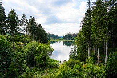 Landscape at the Grumbacher Teich. Nature in the Harz near Goslar. Idyllic landscape by the lake in autumn.